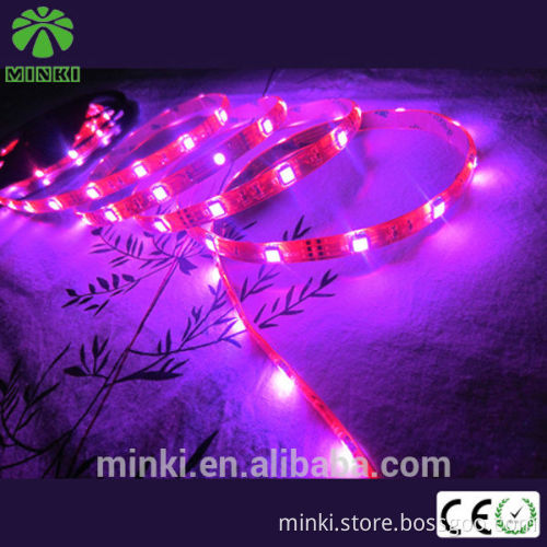 5M SMD 300 RGB 5050 Waterproof LED Strip light 44key IR Remote 12V 5A Power Kit